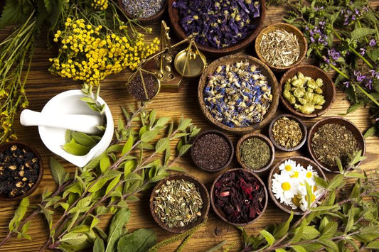 Building Your First Ayurvedic Wellness Routine: A Beginner's Guide